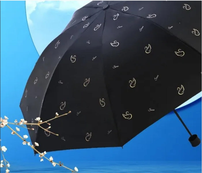 Clear Umbrella