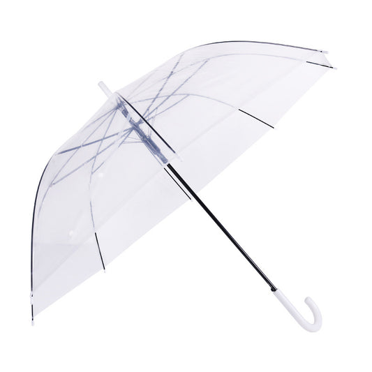 Transparent umbrella